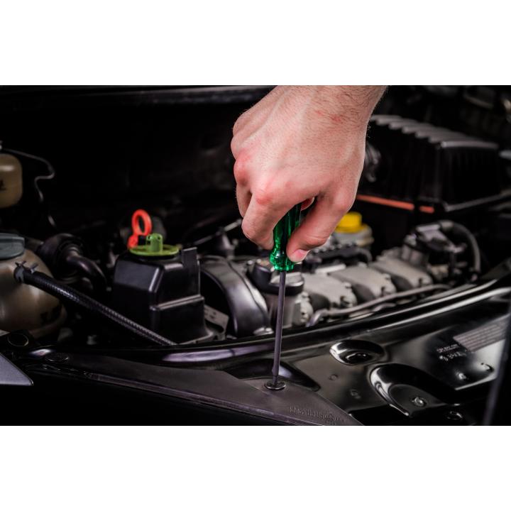 Image of Acetate Torx® Screwdrivers - SATA