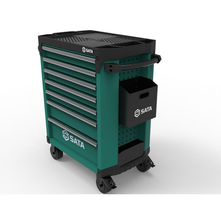 Image of ST95113G-DOC